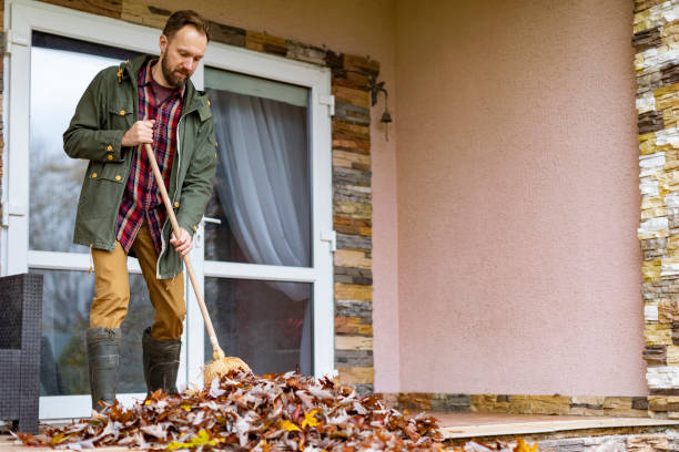 Basement Cleanout Services in Goodwater, AL
